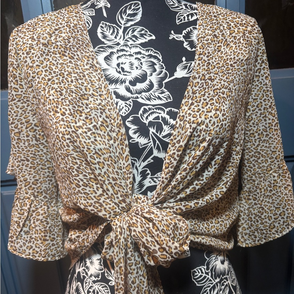 Ava Austria Tie-Front Leopard Print Blouse in Brown/Cream
